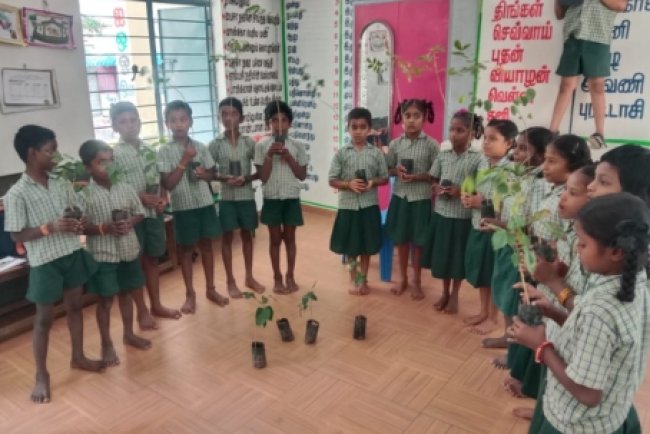The Phoenix Foundation: NGO Working Across India